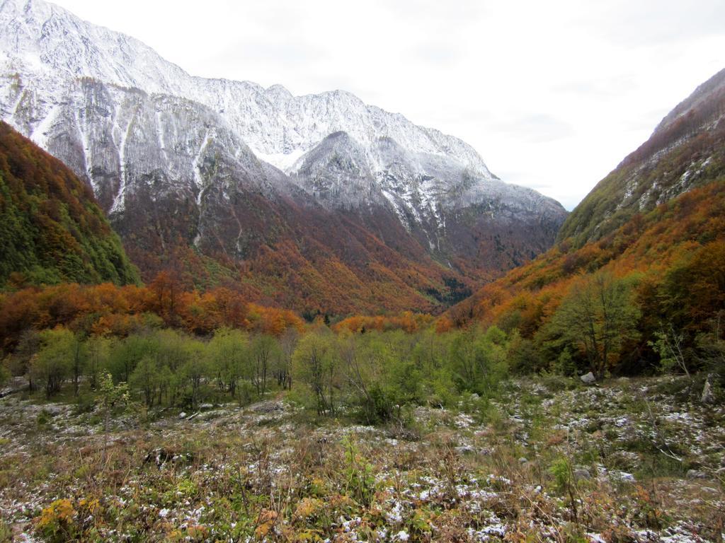 Bezgova Hisica Villa Bovec Eksteriør bilde