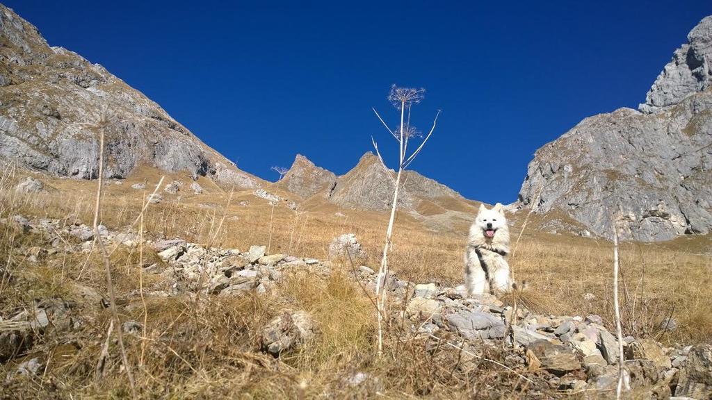 Bezgova Hisica Villa Bovec Eksteriør bilde