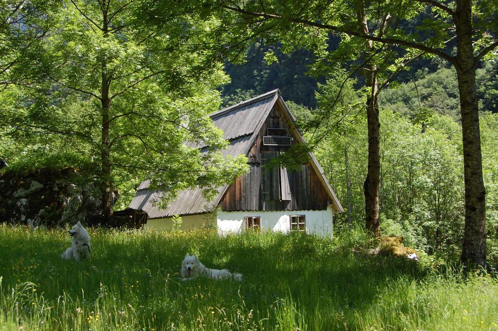 Bezgova Hisica Villa Bovec Eksteriør bilde
