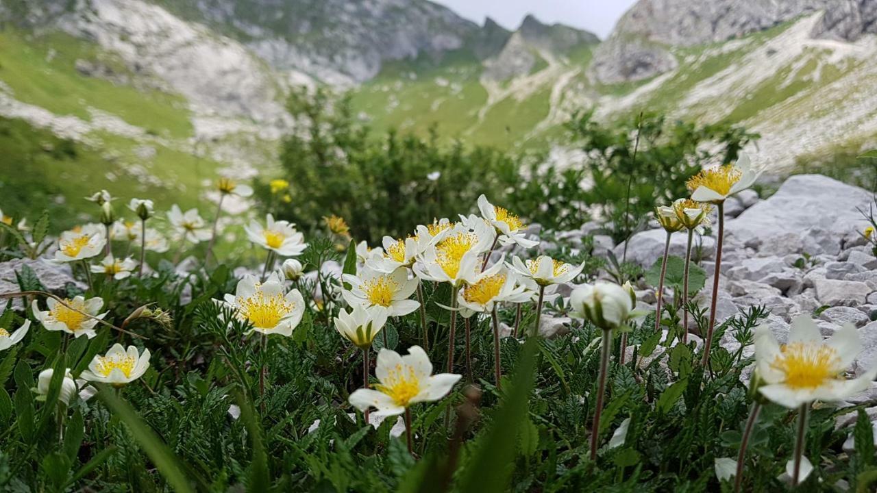 Bezgova Hisica Villa Bovec Eksteriør bilde