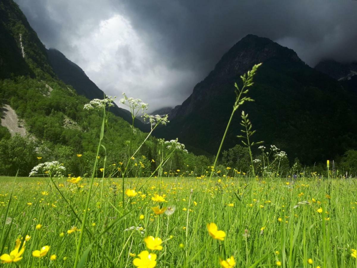 Bezgova Hisica Villa Bovec Eksteriør bilde