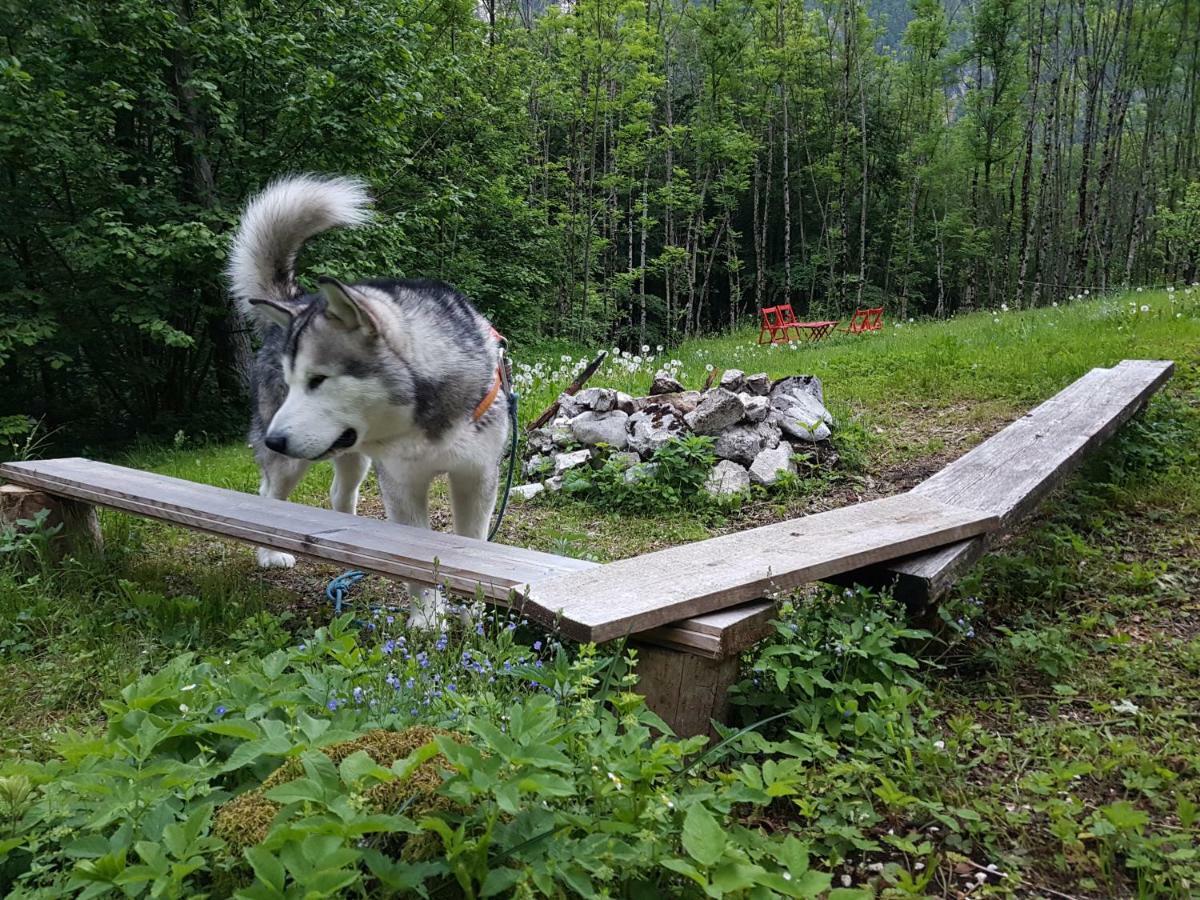 Bezgova Hisica Villa Bovec Eksteriør bilde
